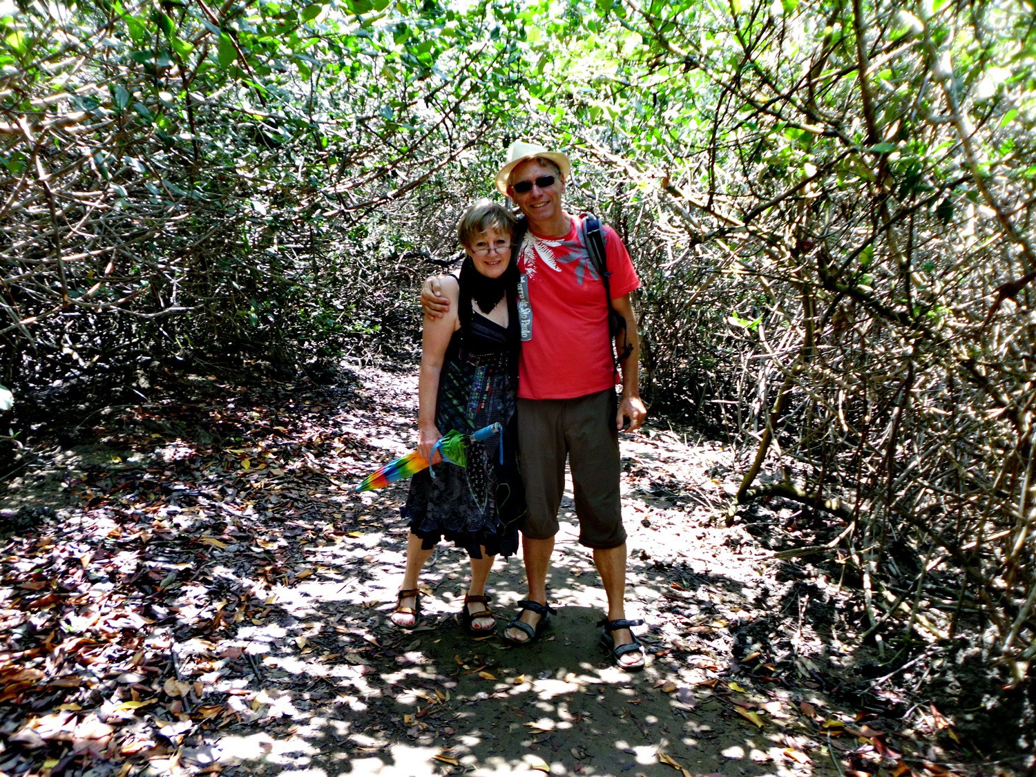 In the mangrove forest